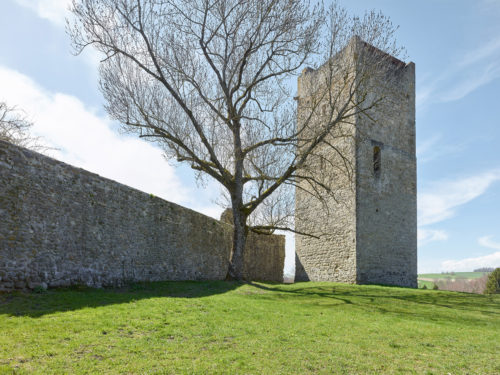 Molondin Photo 1 a-rr.